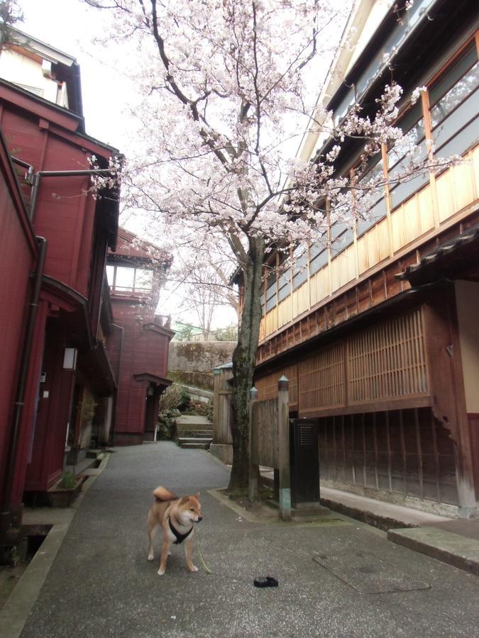 Kanazawa Share House Gaooo Extérieur photo